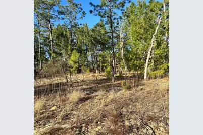 0 Rome Avenue, Interlachen, FL 32148 - Photo 3