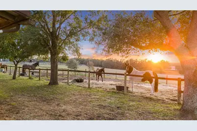 4230 Rex Drive, Winter Garden, FL 34787 - Photo 5