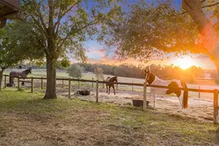 4230 Rex Dr, Winter Garden, FL 34787 - Photo 5