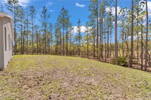 7542 SW 128th Ter Rd, Dunnellon, FL 34432 - Photo 49