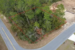Tbd SW 36 Ct, Ocala, FL 34473 - Photo 1