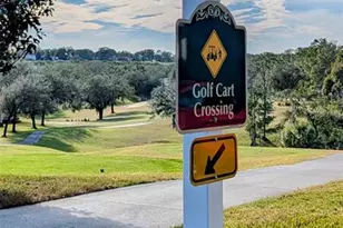 3667 Kingswood Ct, Clermont, FL 34711 - Photo 33