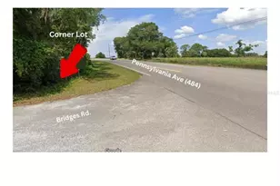 State Road 484, Dunnellon, FL 34432 - Photo 1