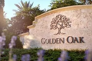 10300 Winter Sparkle Circle, Golden Oak, FL 32836 - Photo 63