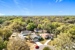 511 Coventry Ct, Mount Dora, FL 32757 - Photo 39