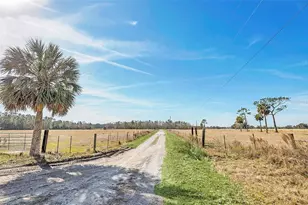 26225 Pitts Rd, Eustis, FL 32736 - Photo 5