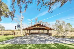 26225 Pitts Rd, Eustis, FL 32736 - Photo 9