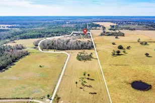 26225 Pitts Rd, Eustis, FL 32736 - Photo 13