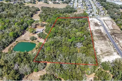 344 W Ponkan Road, Apopka, FL 32712 - Photo 3