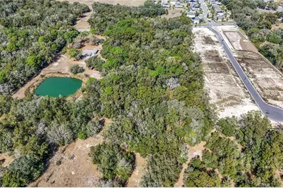 344 W Ponkan Road, Apopka, FL 32712 - Photo 5