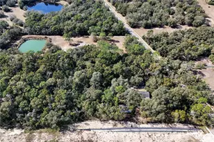 344 W Ponkan Rd, Apopka, FL 32712 - Photo 1