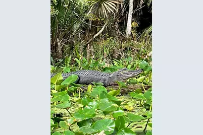 10285 NE 28th Loop, Silver Springs, FL 34488 - Photo 67