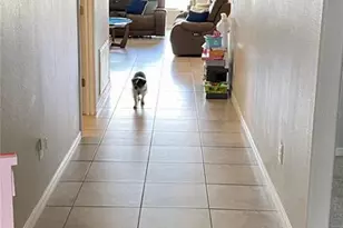 39567 Dawson Chase Dr, Zephyrhills, FL 33540 - Photo 5