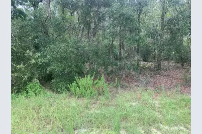 Sw 50 Terrace Road, Ocala, FL 34473 - Photo 3