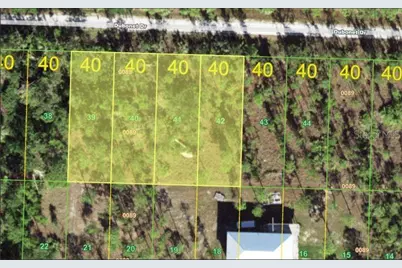 27065 Dubonet Drive, Punta Gorda, FL 33955 - Photo 1