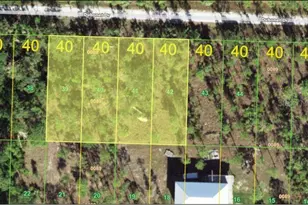 27065 Dubonet Dr, Punta Gorda, FL 33955 - Photo 1