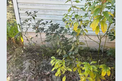 20545 SE 155th Place, Umatilla, FL 32784 - Photo 25