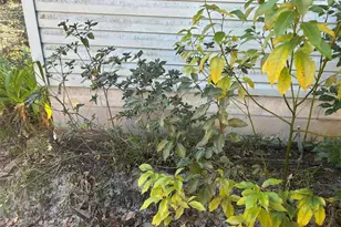 20545 SE 155th Pl, Umatilla, FL 32784 - Photo 25