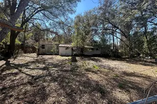 20545 SE 155th Pl, Umatilla, FL 32784 - Photo 13