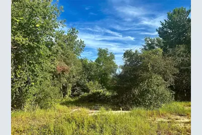 1454 Kissimmee Way, Poinciana, FL 34759 - Photo 5