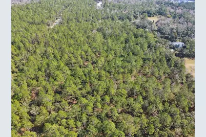 000 Old Haw Creek Road, Bunnell, FL 32110 - Photo 9