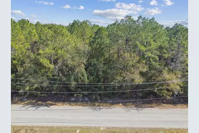 000 Old Haw Creek Road, Bunnell, FL 32110 - Photo 17