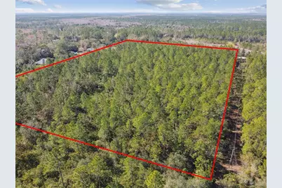 000 Old Haw Creek Road, Bunnell, FL 32110 - Photo 5