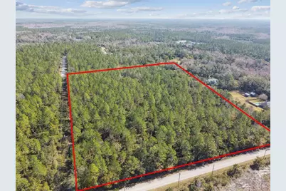 000 Old Haw Creek Road, Bunnell, FL 32110 - Photo 3