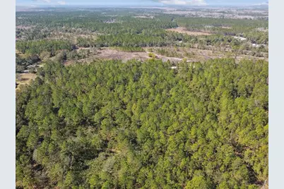 000 Old Haw Creek Road, Bunnell, FL 32110 - Photo 11