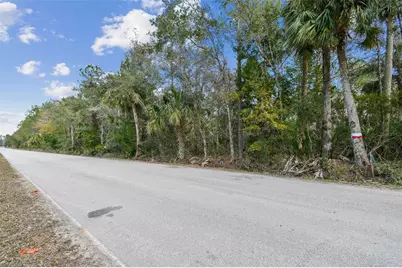 000 Old Haw Creek Road, Bunnell, FL 32110 - Photo 29