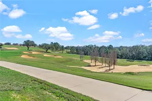 16112 Vetta Dr, Montverde, FL 34756 - Photo 55