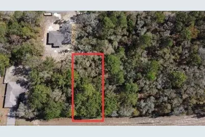 9381 N Country Club Way, Citrus Springs, FL 34434 - Photo 3