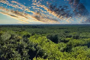 5300 S Atlantic Ave, New Smyrna Beach, FL 32169 - Photo 59