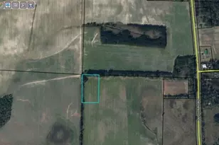 Old U S Rd, Marianna, FL 32446 - Photo 1