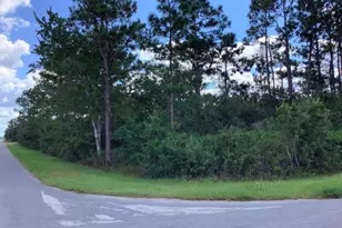 Quinn St, Orlando, FL 32833 - Photo 1