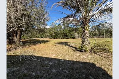 2229 S Citrus Circle #1385, Zellwood, FL 32798 - Photo 19