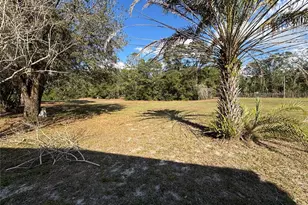 2229 S Citrus Cir, Zellwood, FL 32798 - Photo 19