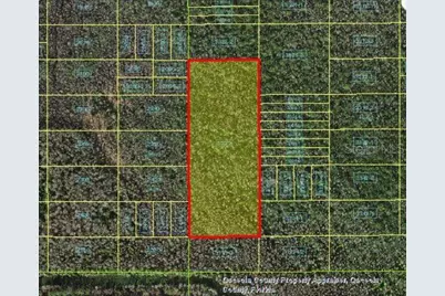 Holopaw Groves Road, Saint Cloud, FL 34772 - Photo 3