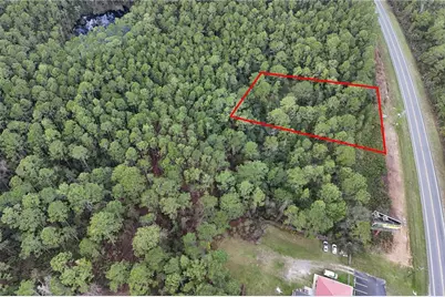 12320 E Hwy 40, Silver Springs, FL 34488 - Photo 3
