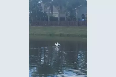 7037 Towering Spruce Drive, Riverview, FL 33578 - Photo 25