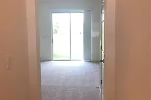 7037 Towering Spruce Dr, Riverview, FL 33578 - Photo 31