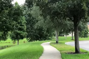 7037 Towering Spruce Dr, Riverview, FL 33578 - Photo 43