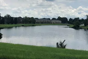 7037 Towering Spruce Dr, Riverview, FL 33578 - Photo 41