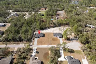 41915 Aspen St, Eustis, FL 32736 - Photo 15