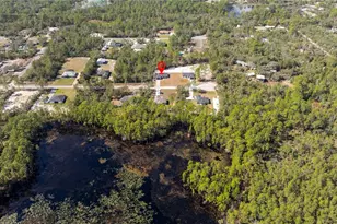 41915 Aspen St, Eustis, FL 32736 - Photo 17