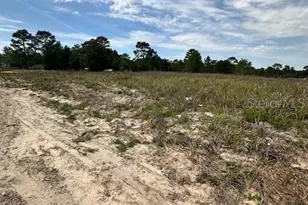 Tbd SW 27th Ln, Ocala, FL 34481 - Photo 1