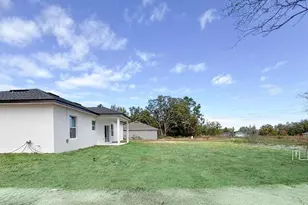 225 Malauka Run N, Ocklawaha, FL 32179 - Photo 3