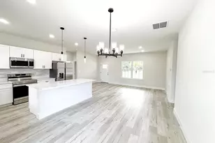 225 Malauka Run N, Ocklawaha, FL 32179 - Photo 7