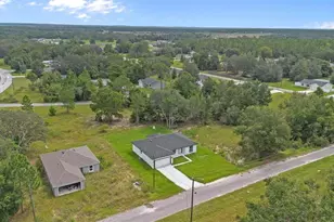 225 Malauka Run N, Ocklawaha, FL 32179 - Photo 37