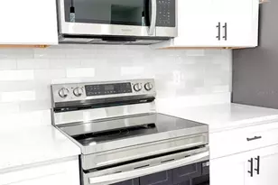 225 Malauka Run N, Ocklawaha, FL 32179 - Photo 9